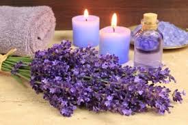 lavanda 3